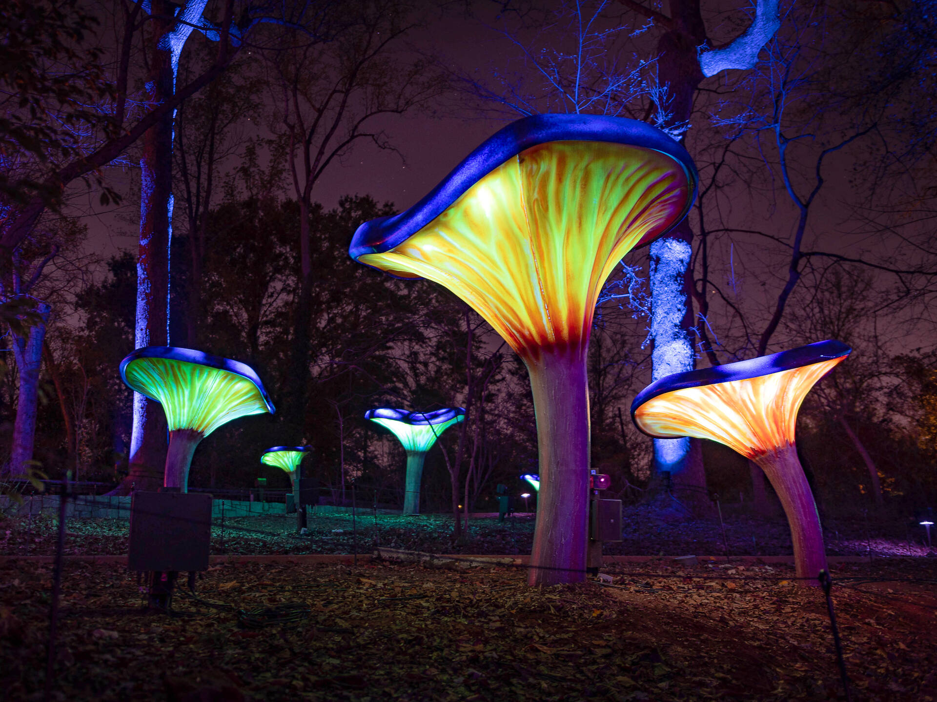 Best Things To Do In Atlanta This Weekend