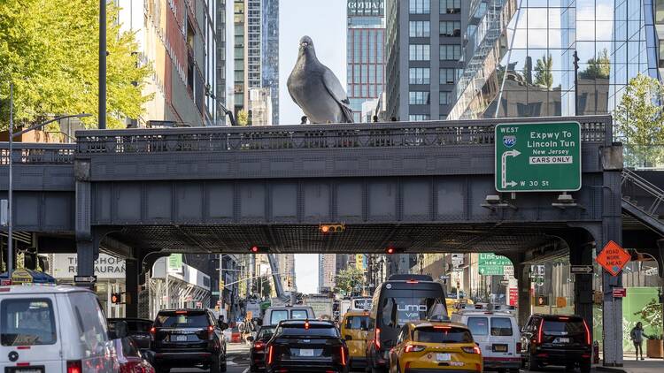 "Dinosaur," a pigeon sculpture on the High Line