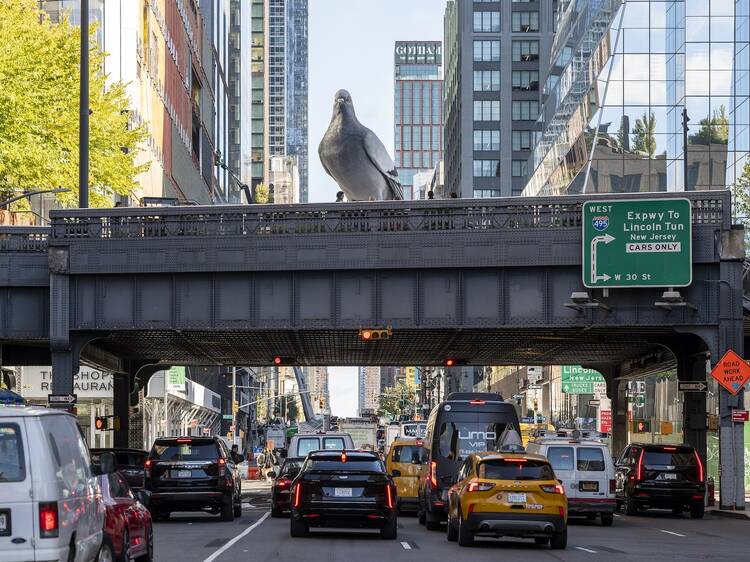 "Dinosaur," a pigeon sculpture on the High Line