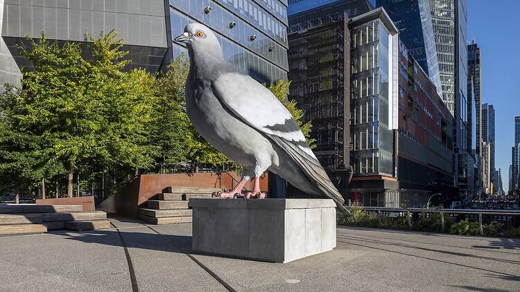 A view of a pigeon sculpture.