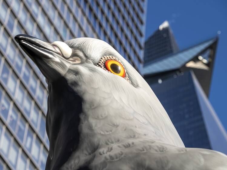 A close-up of the pigeon sculpture's eye.