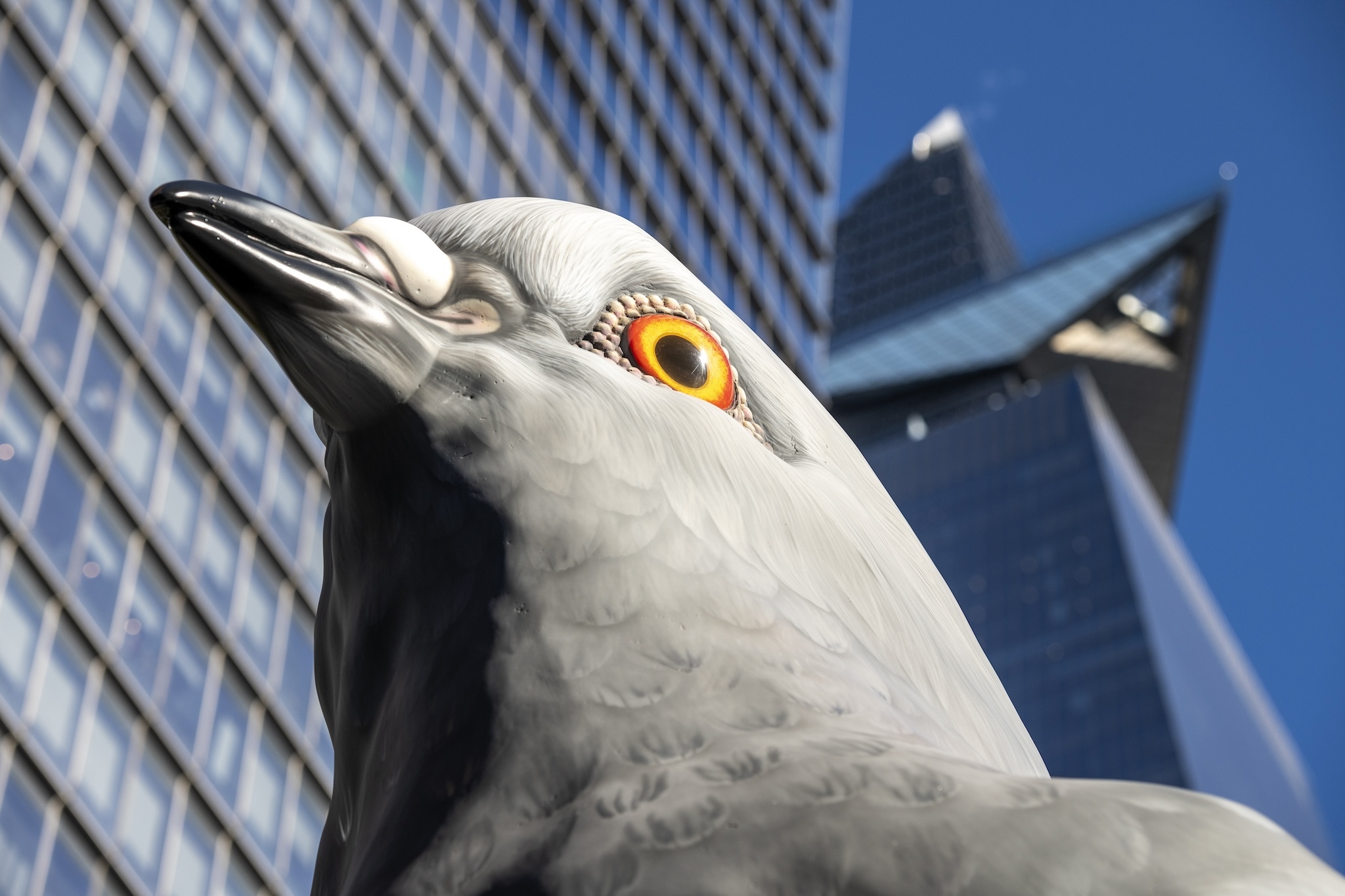 A close-up of the pigeon sculpture's eye.