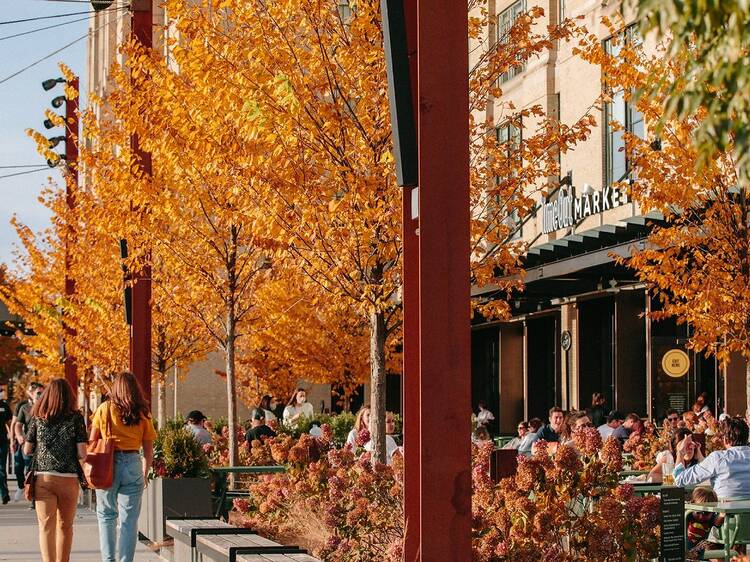 Time Out Market Boston fall foliage