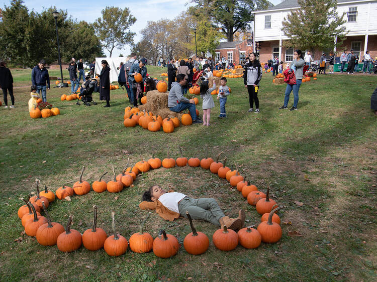 Pumpkin Point at Governors Island