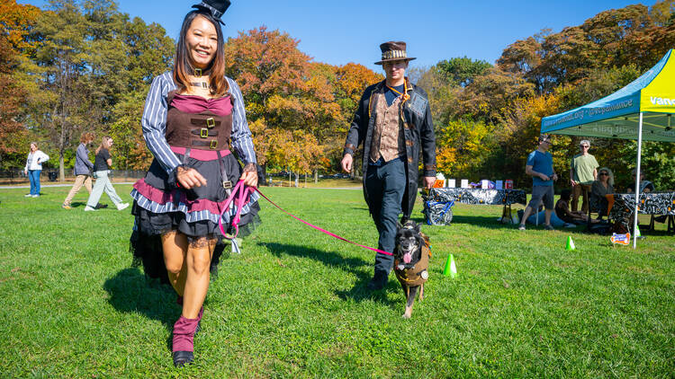 Van Cortlandt Park Alliance Halloween