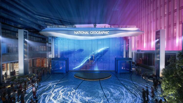 A rendering of the ocean show space at National Geographic's new museum.