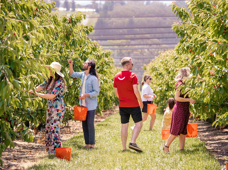 Things to do in Melbourne this week Things to do in Melbourne this week