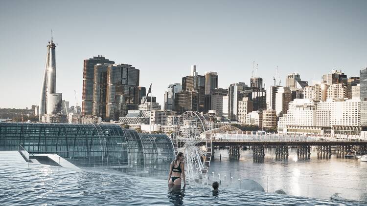 Couple enjoying Sofitel Sydney's rooftop pool with views across Darling Harbour.