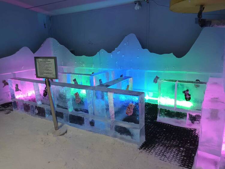 Snow Village