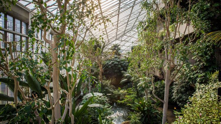 Uncover all things horticultural at Barbican Conservatory