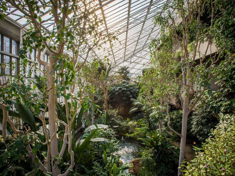 Uncover all things horticultural at Barbican Conservatory