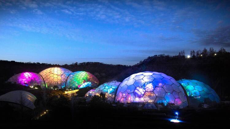 Eden Project Christmas lights