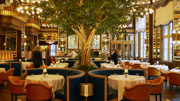 The Fifth Avenue Hotel