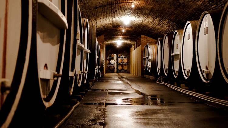 Wine barrels in the underground cellar at Tahbilk Winery.