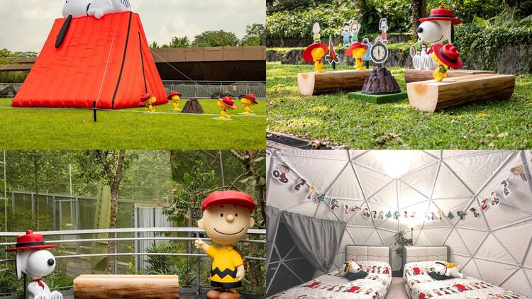 Snoopy pop-up at Singapore Zoo and Bird Paradise