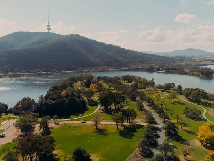 Aerial view of park and lake