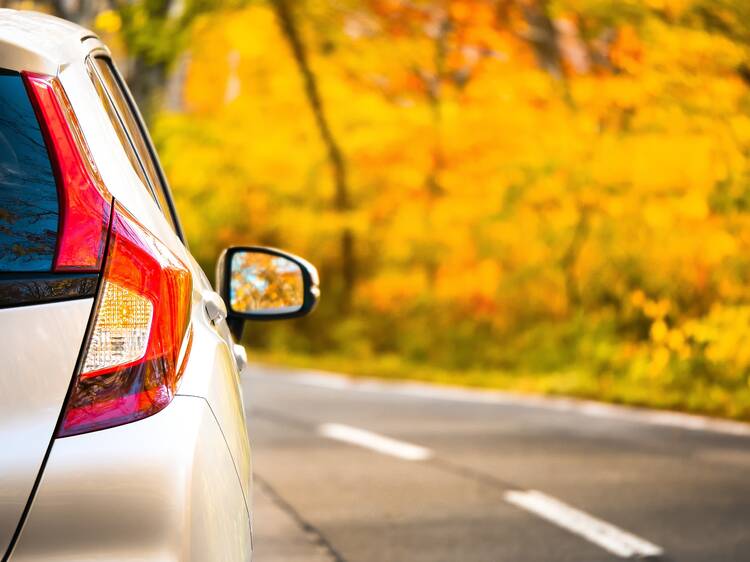 5 reasons why you should rent a car with Eight Ways Car Rental