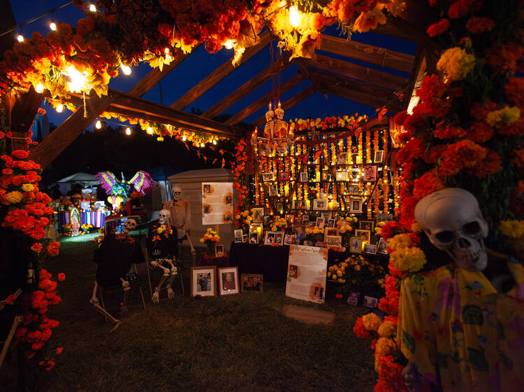 Day of the Dead at Hollywood Forever 2024