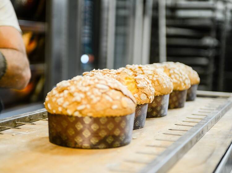 Feast on fluffy panettone at Pasticceria Cucchi