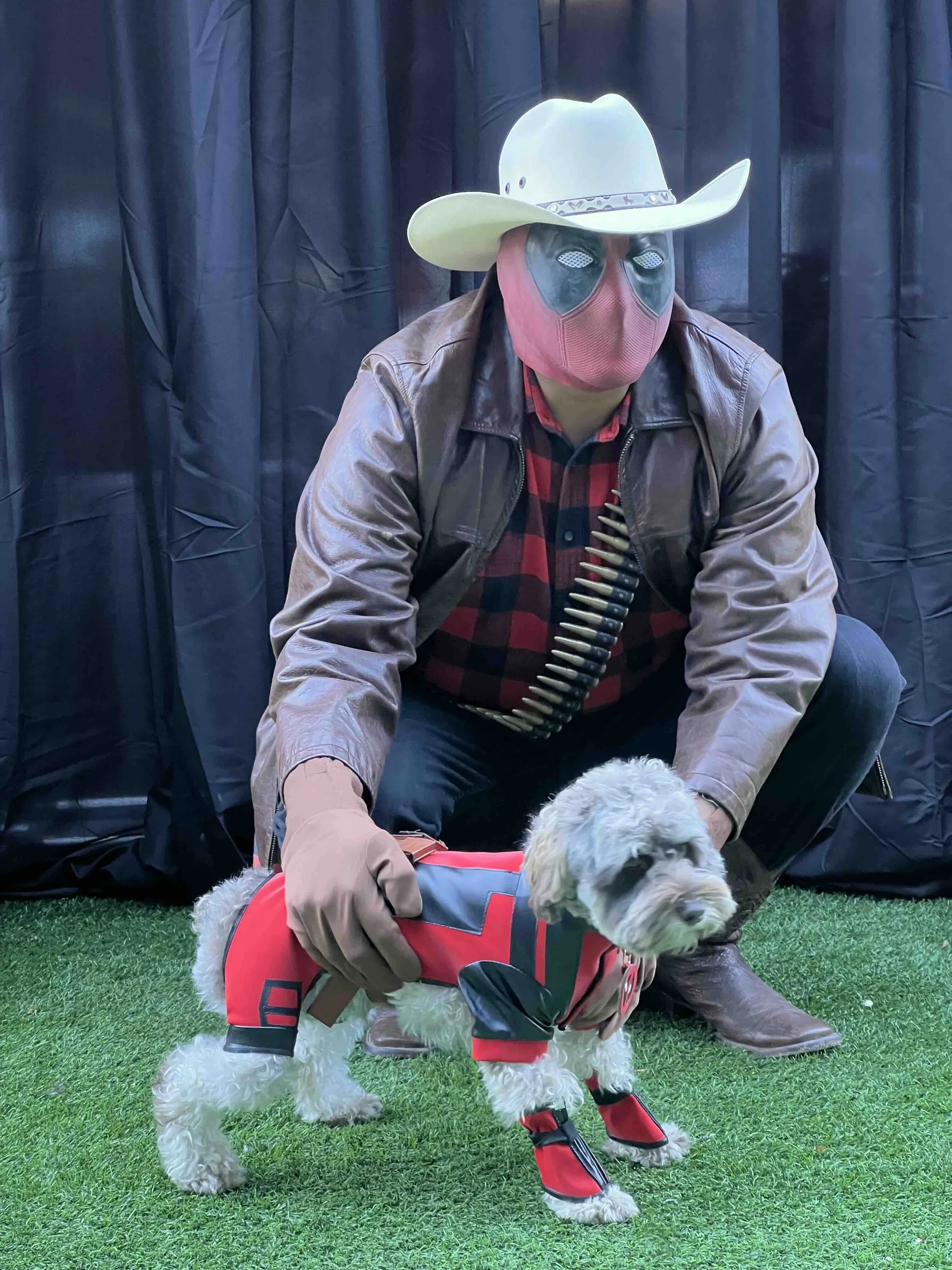 pet costume contest