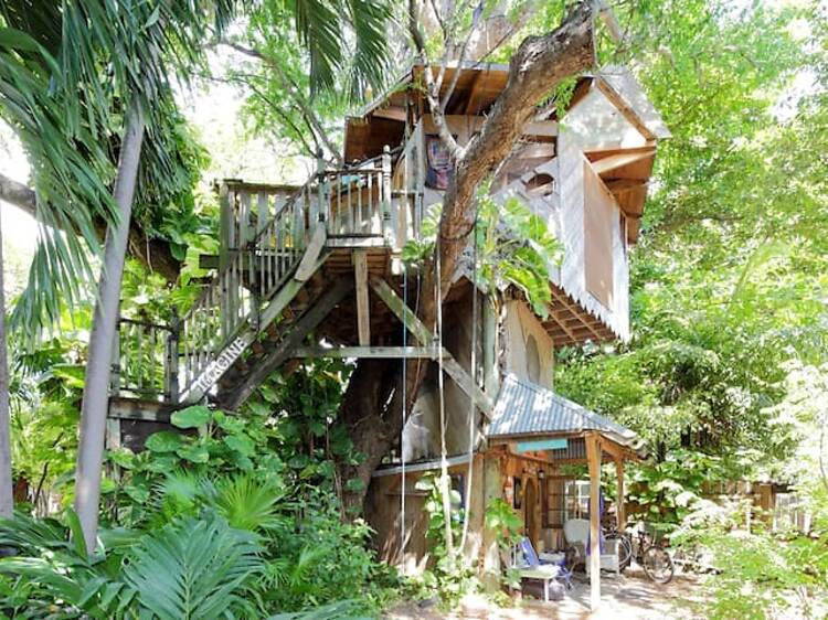 The no-frills treehouse in Little River