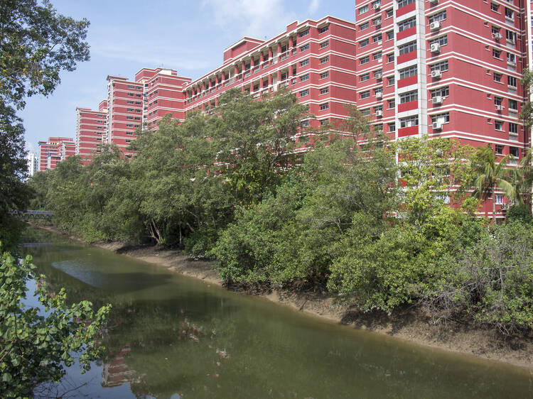 Pontianak(s) of Pasir Ris