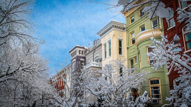 Capitol Hill row houses in winter in Washington, D.C.