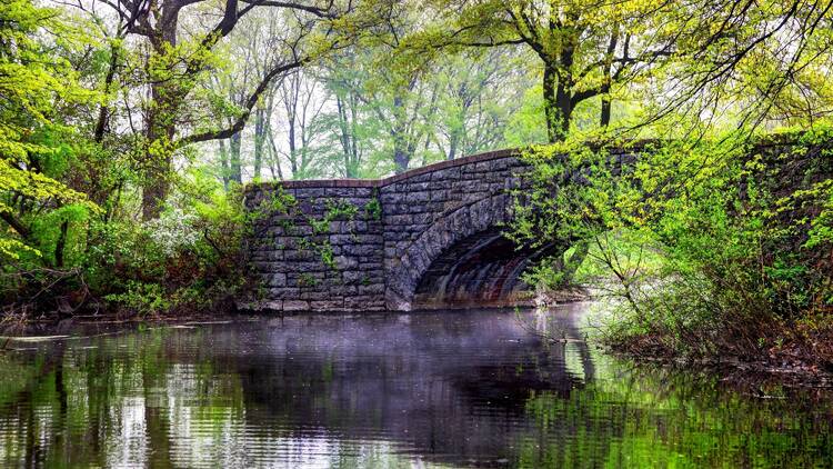 Old Stone Bridge and Spring Mist on Scarboro Pond in Franklin Park, Boston