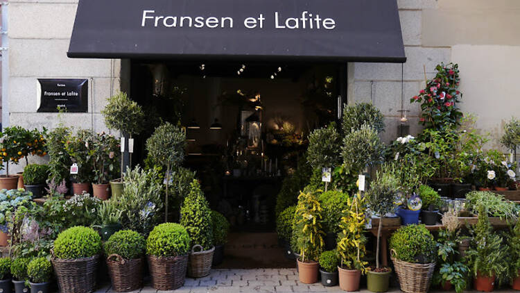 Fransen et Lafite