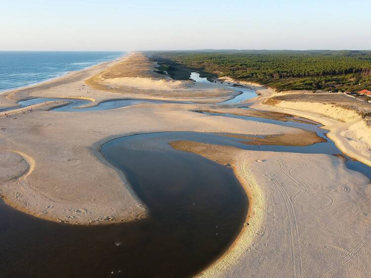 Landes, France