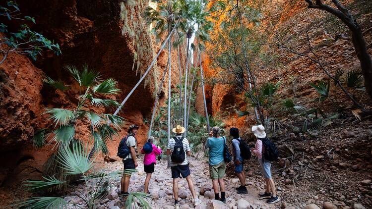 Lose yourself in Echidna Chasm