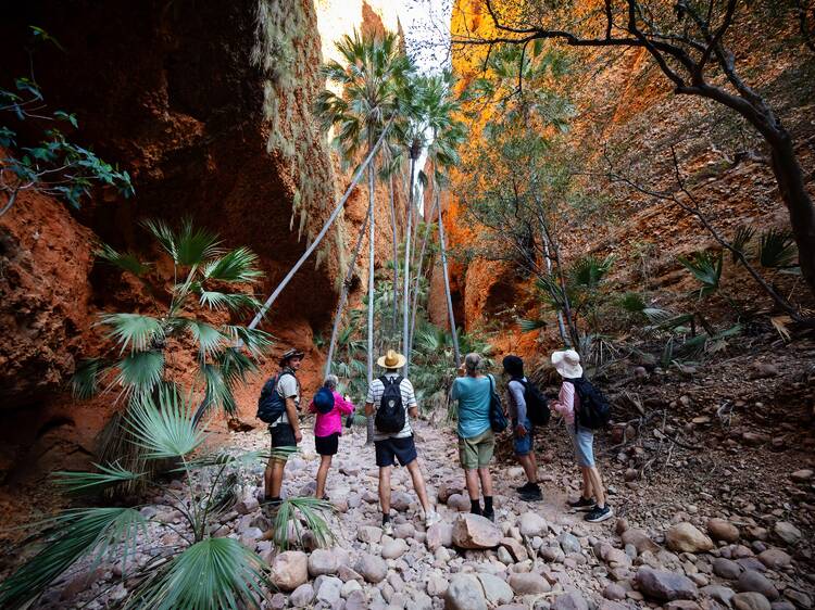 Lose yourself in Echidna Chasm