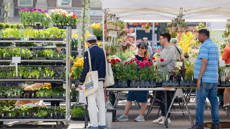 Grab-and-go at Union Square Greenmarket