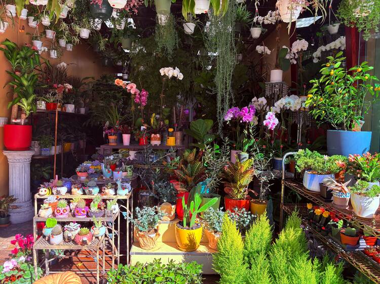 The outdoor display at Ditmars Flower Shop