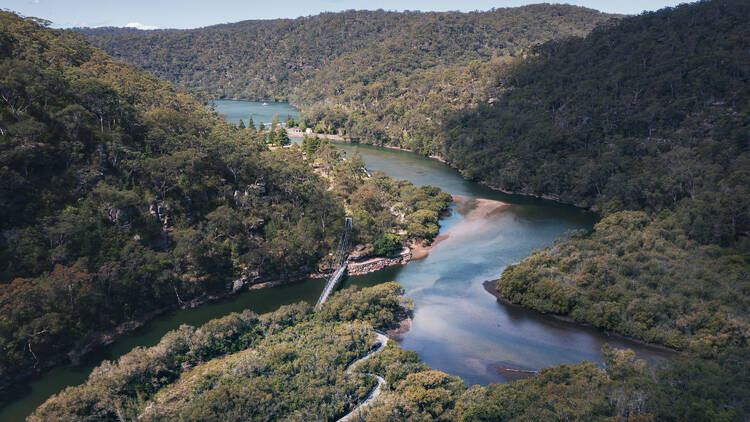 Mangrove Boardwalk, Ku-ring-gai Chase National Park