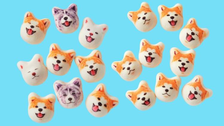 Akita inu and Hachiko marshmallows