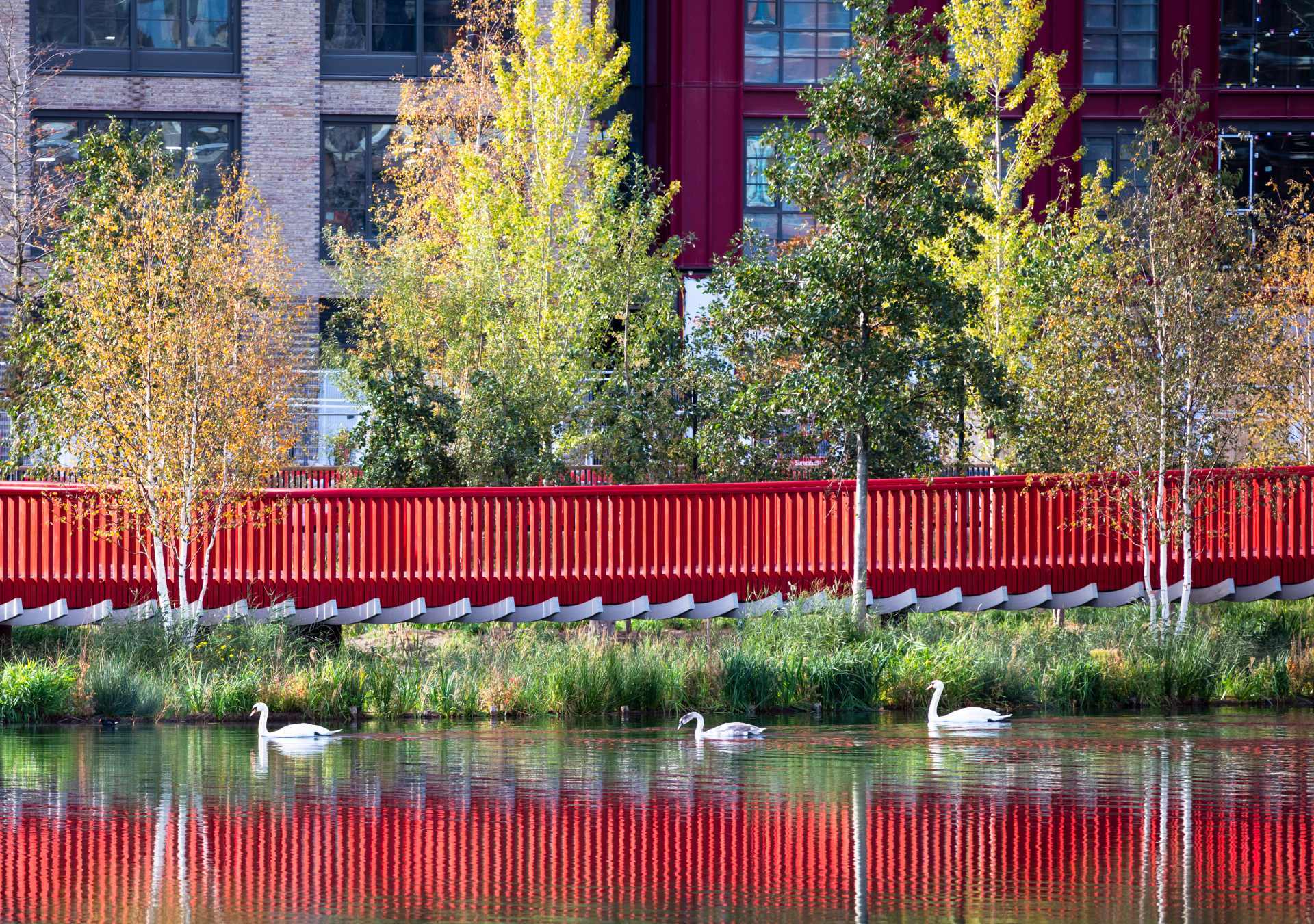 Asif Khan Canada Water boardwalk