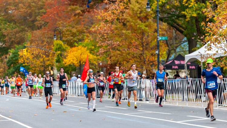 Runners pass through Harlem in New York near the 22 mile mark near Mount Morris Park in the running of the TCS New York City Marathon