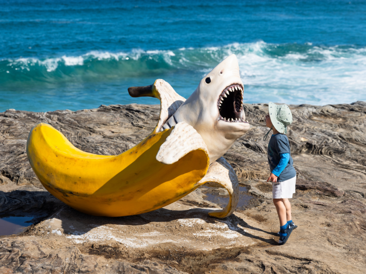 Long live ‘Sharnana’! This ridiculous banana shark is Sculpture by the Sea’s crowd favourite