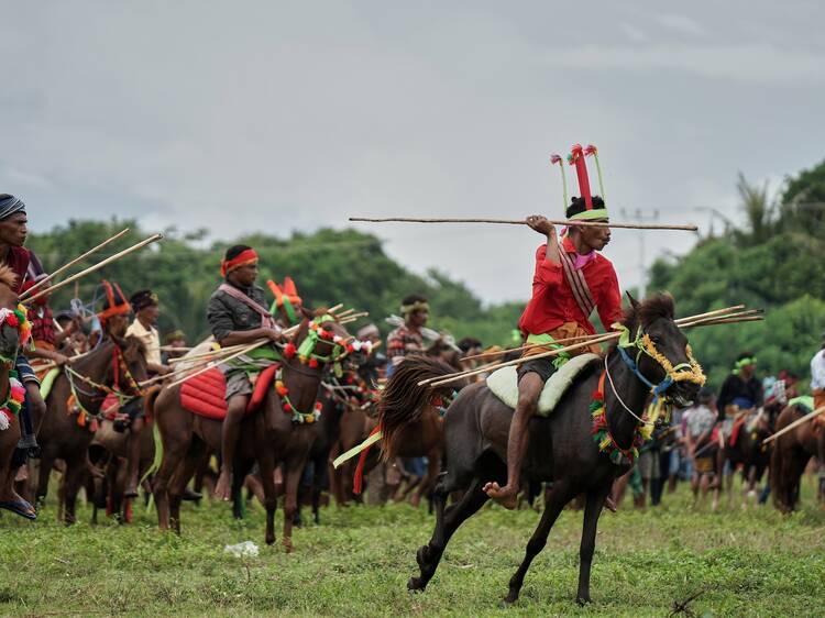 Experience ancient culture in Sumba