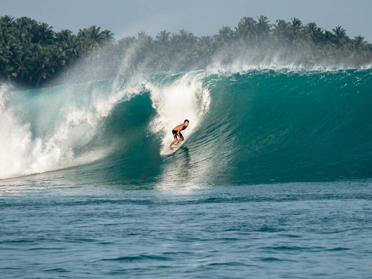 Surf the waves in Mentawai