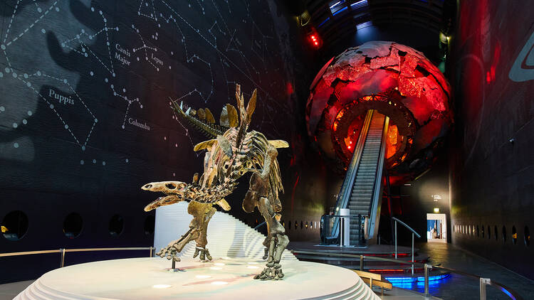 Step into prehistory at the Natural History Museum