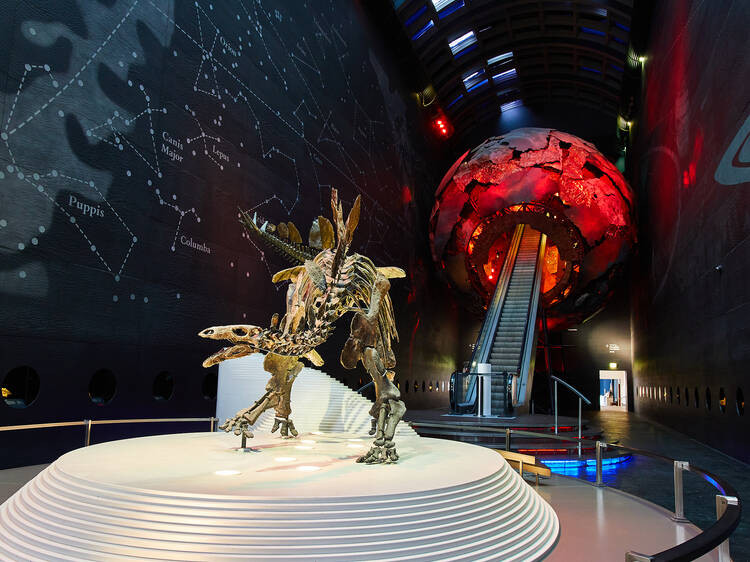 Step into prehistory at the Natural History Museum