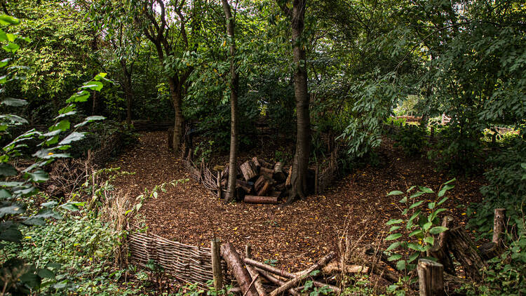 Camley Street Natural Park