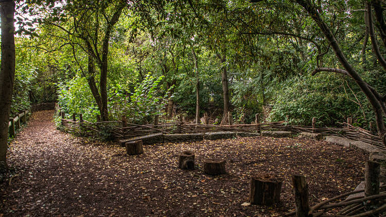 Camley Street Natural Park