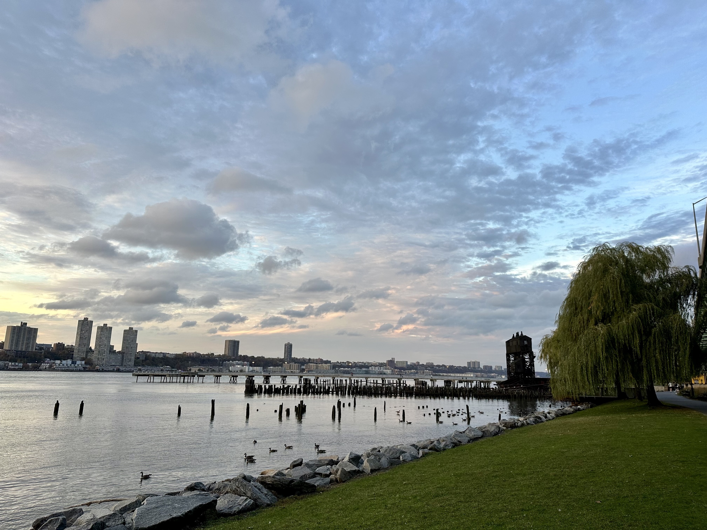 A muted sunset over the Hudson River on the West Side of Manhattan. A weeping willow tree is visible, along with ducks on the water.