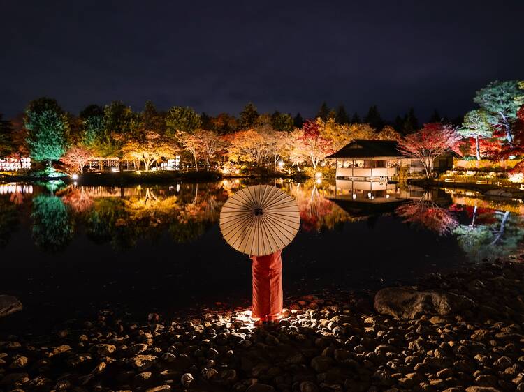 Showa Kinen Park: Autumn Leaves & Evening Light-up