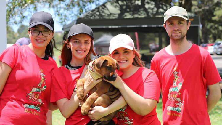 Four people in Christmas shirts holding a dog