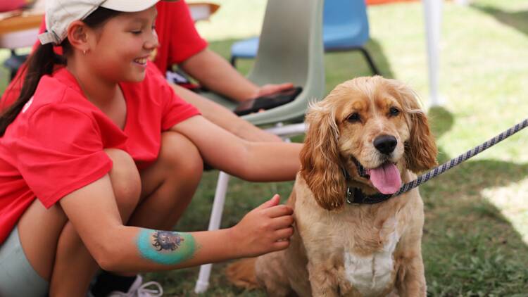 Girl patting a dog