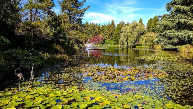 VanDusen Botanical Garden